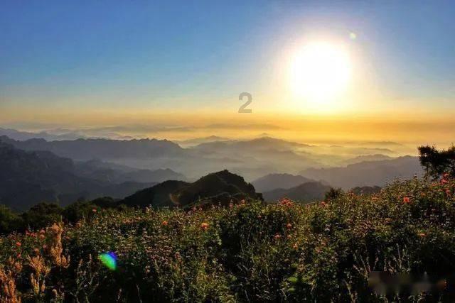 邓丽君为何如此伟大?——分享冷知识的平台